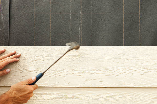 Best Vinyl Siding Installation  in Allardt, TN